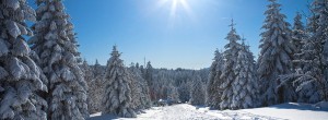 Winterurlaub im Harz und in der Harzregion