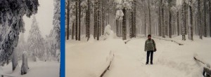 Wandern im Harz - Route für eine Winterwanderung