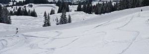 Skifahren in Altenau im Harz