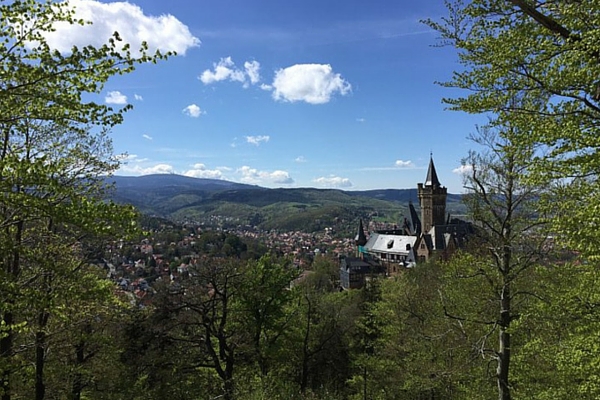  Auf dem Agnesberg Blick zum Schloss Wernigerode ©Anja Leineweber