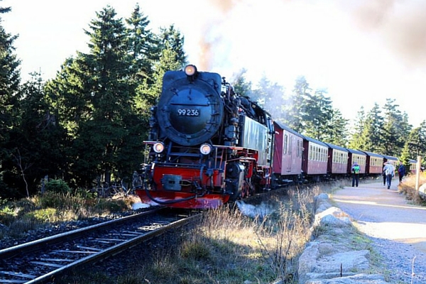 Die Harzer Schmalspurbahn auf dem Weg zum Brocken (Goetheweg) ©Anja Leineweber