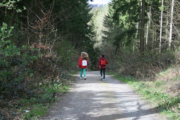 Wandern mit Kindern im Harz